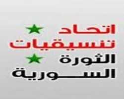 بيان حول الخطة العربية لحل الأزمة السورية