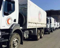 قادمةً من إسطنبول: قافة برية إلى حلب