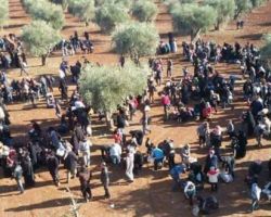 نشرة أخبار سوريا- محمد علوش يطلق مبادرة لمبادلة معتقلي سجن حماة بأسرى قوات النظام لدى جيش الإسلام، وفرنسا تسعى لتشكيل حلف 