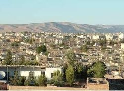 لا دماء في القامشلي