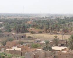 نشرة أخبار الخميس- 