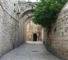 الشام يا ليتني فيها جذعاً