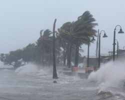 وهدأ الإعصار