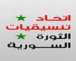 1151 شهداء بعثة المراقبين العرب
