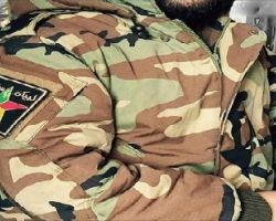 بعد حزب الله السوري.. (لبيك سلمان) فصيل تؤسسه إيران في جبل العرب