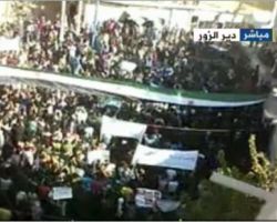 أخبار يوم الاثنين 12-12-2011م