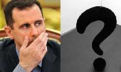 البركان غداة سقوط الأسد