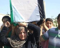 لا نامتْ أعينُ الجبناءْ !! 