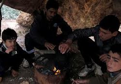 تقرير الرصد اليومي 13-12-2012م/29 محرم 1434هـ