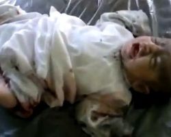 أخبار يوم الأربعاء 13-6-2012م