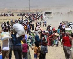 تقرير صادم.. حوالي نصف مليون مهجر من الرقة على يد التحالف الدولي ومليشيا 