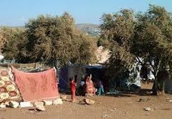 أخبار يوم الثلاثاء -بريطانيا تعترف بالائتلاف ممثلاً وحيدأً -20-11-2012م