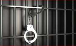 تقرير: سبعة أشخاص قضوا تعذيباً في سجون النظام خلال شباط الماضي