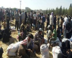 منظمات أممية و حقوقية تتهم الميليشيات الكردية بتهجير العرب والتركمان