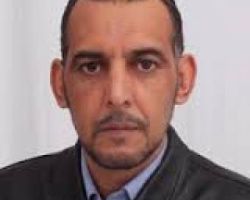 النموذجان التركي والعربي بين الواقع والممكن