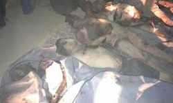 أخبار سوريا _ 25 غارة جوية على حي جوبر بدمشق، وعناصر لقوات الأسد يعدمون 15 مدنياً في حماة ويحرقون جثثهم _ (2-9- 2014 )