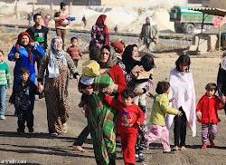 أخبار يوم الثلاثاء - الجيش السوري تحت إمرة قيادة إيرانية -13-11-2012م