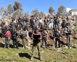  هام: تقرير انشقاقات شهر فبراير / شباط 2013                        