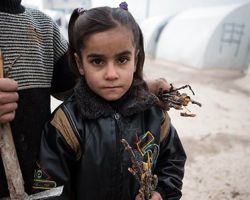 مجزرتان في سجن حلب والضبعة.. وجبهة النصرة على 