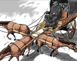 المواطن المستقر!