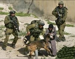 أينما حلّ اليهود, يفترون