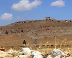 نشرة أخبار سوريا- 