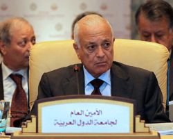 الجامعة العربية تعتزم إحالة الملف السوري إلى مجلس الأمن.. ودمشق تواصل القمع