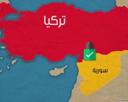 ورطة تركية