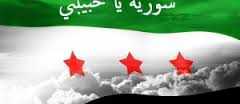  سوريا وصراع الجمال