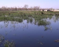 فيضان نهر بردى يبدد أحلام مزارعي الغوطة الشرقية