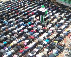 أخبار يوم الجمعة 4-5-2012م جمعة إخلاصنا خلاصنا: