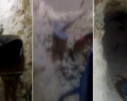 مليشيا الحماية الكردية تواصل حفر الأنفاق في منبج 