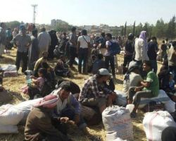 نشرة أخبار سوريا- 