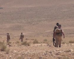 تنظيم الدولة 