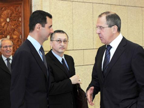 الأسد: هدوء يخفي القسوة 