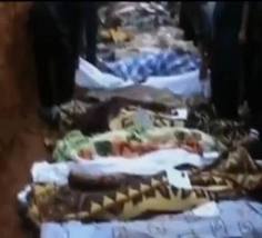 الجثث المتعفنة كارثة جديدة تواجه حمص وتثير الهلع بين أهلها